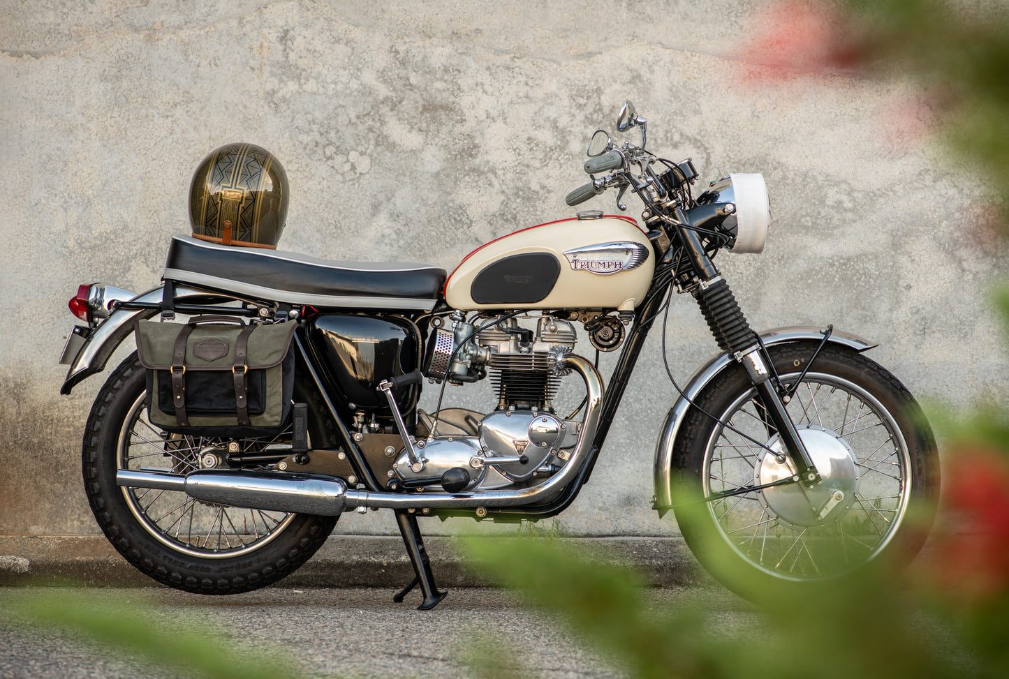Squire Classic Pannier
